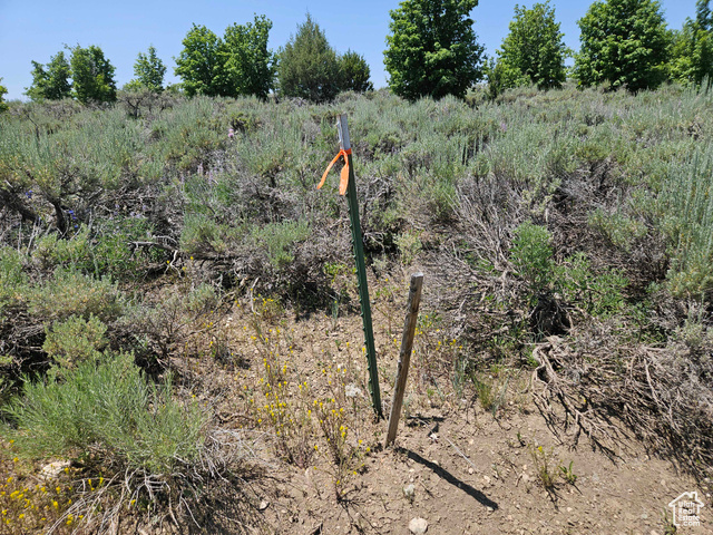 155 East Wolf Hollow Road South, Unit 155 Fairview, UT 84629 - Photo 8 of 13 View of local wilderness