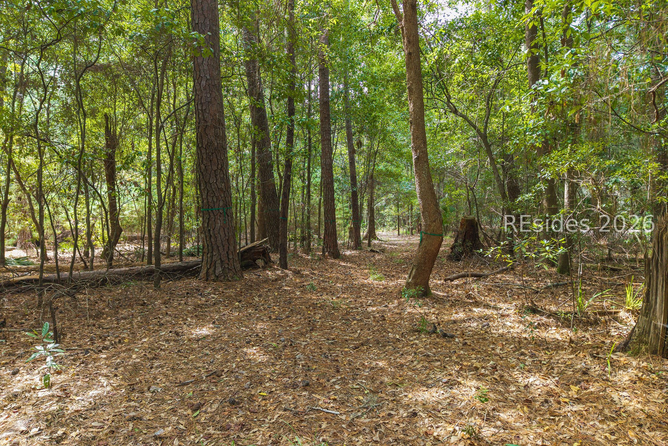 22 Smilax Vine Road Bluffton, SC 29910 - Photo 16 of 28 Gallery Image 16