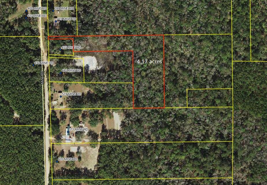0 Mine Road Midway, FL 32343 - Photo 2 of 2 Gallery Image 2