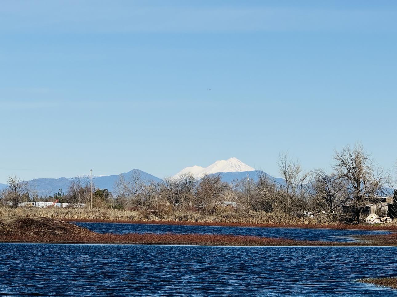 a view of mountain