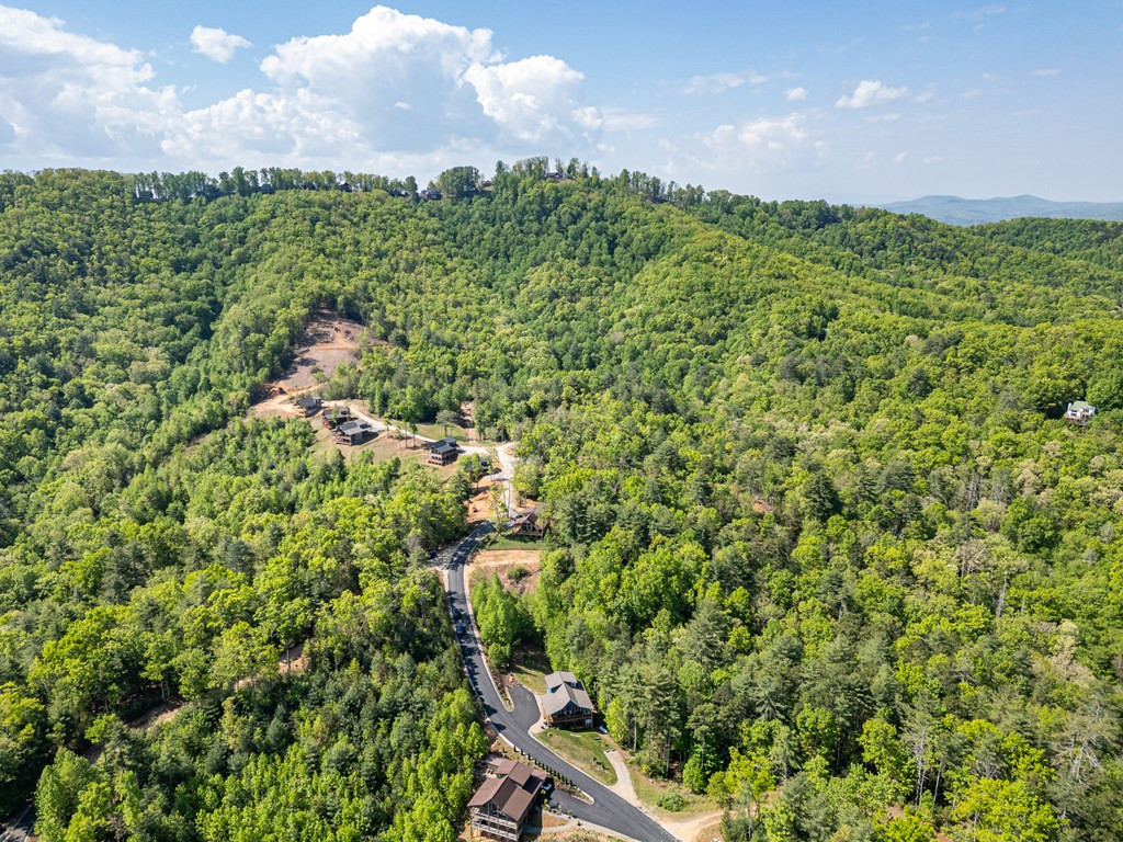 604 Point Overlook Trail Murphy, NC 28906 - Photo 49 of 63
