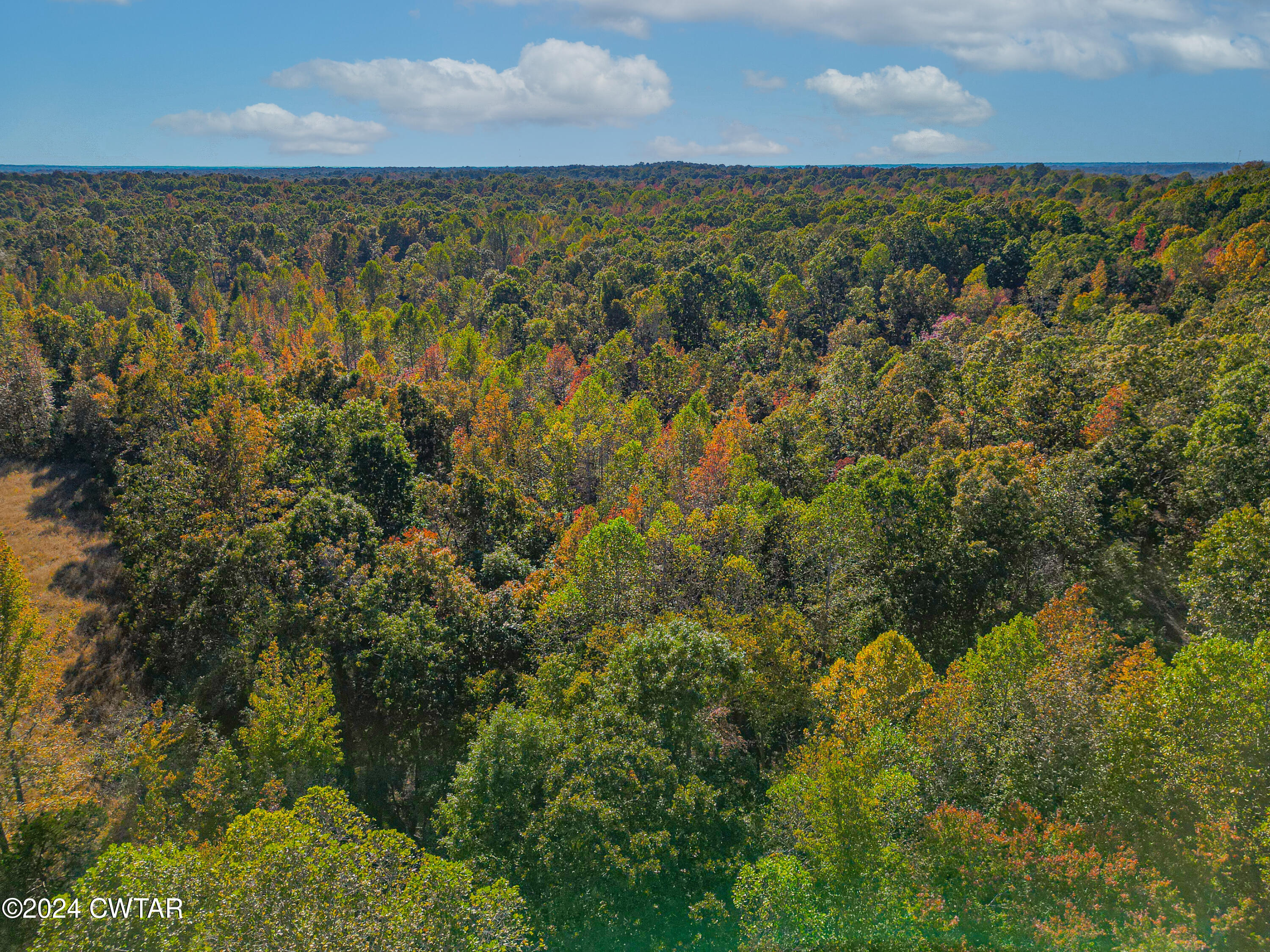 921 Airport Road Selmer, TN 38375 - Photo 21 of 23 dji_fly_20241016_191106_379_172973441724