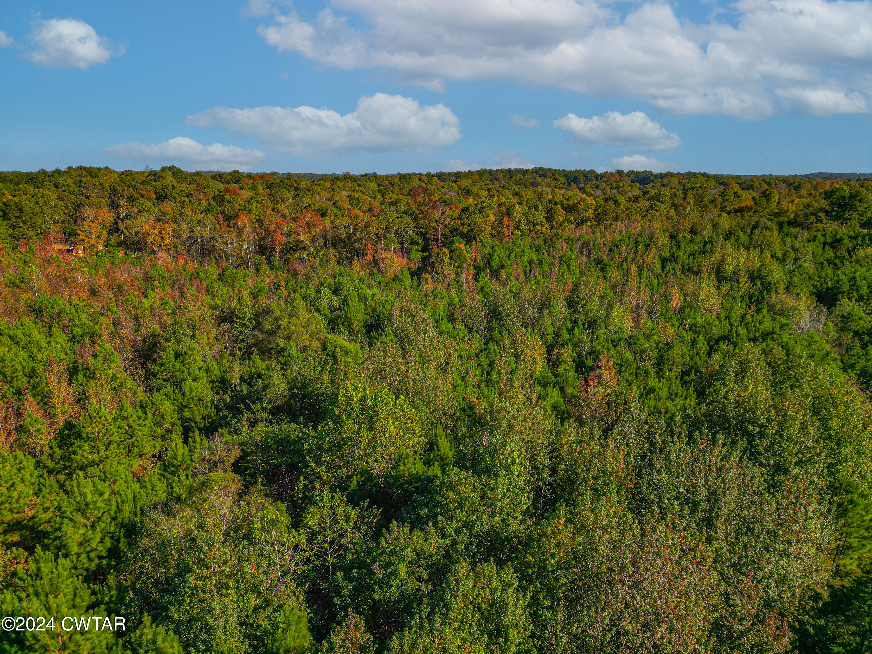 921 Airport Road Selmer, TN 38375 - Photo 22 of 23 dji_fly_20241016_191038_378_172973441726