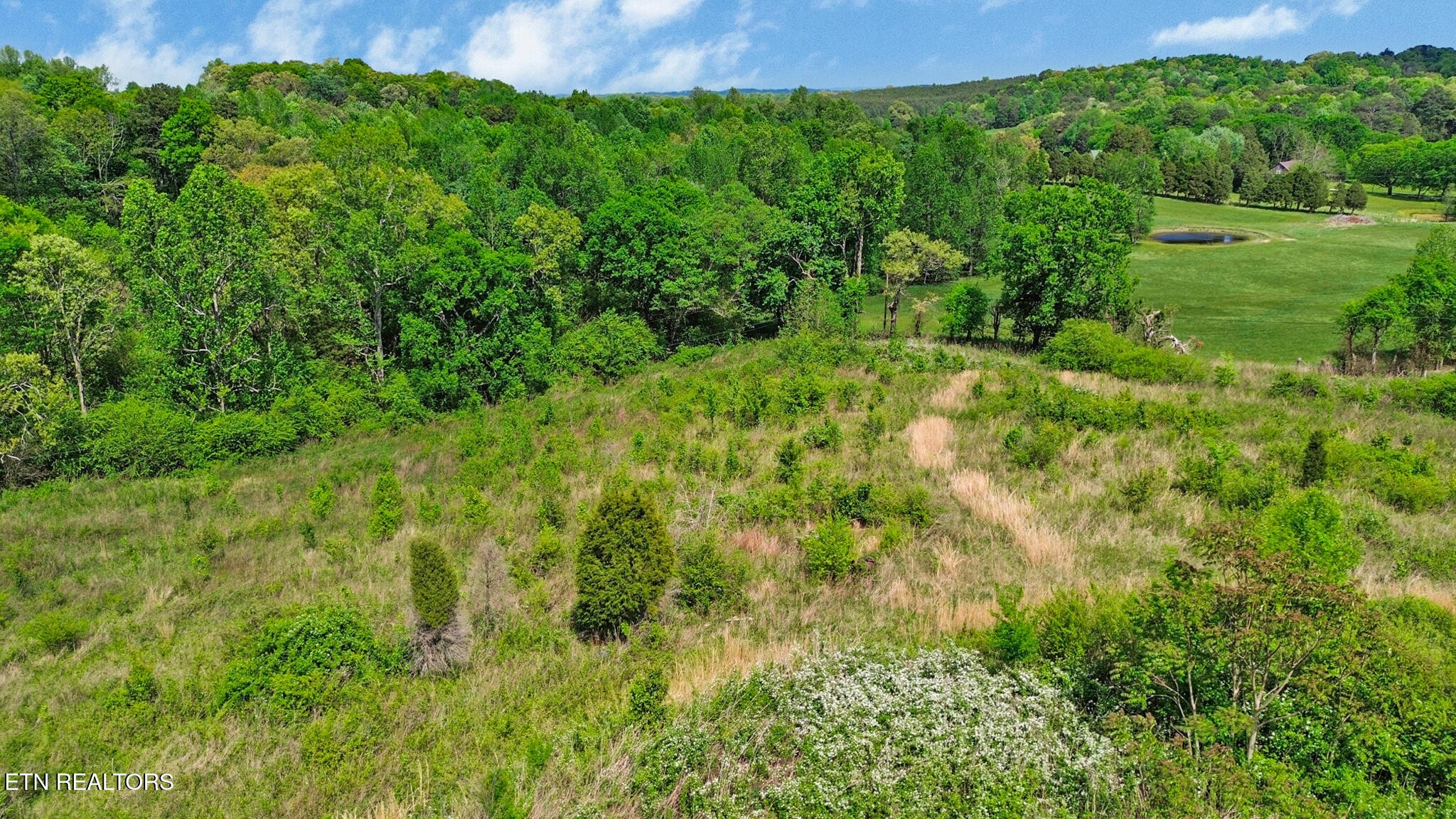 515 Trentham Road Spring City, TN 37381 - Photo 12 of 14 Gallery Image 12