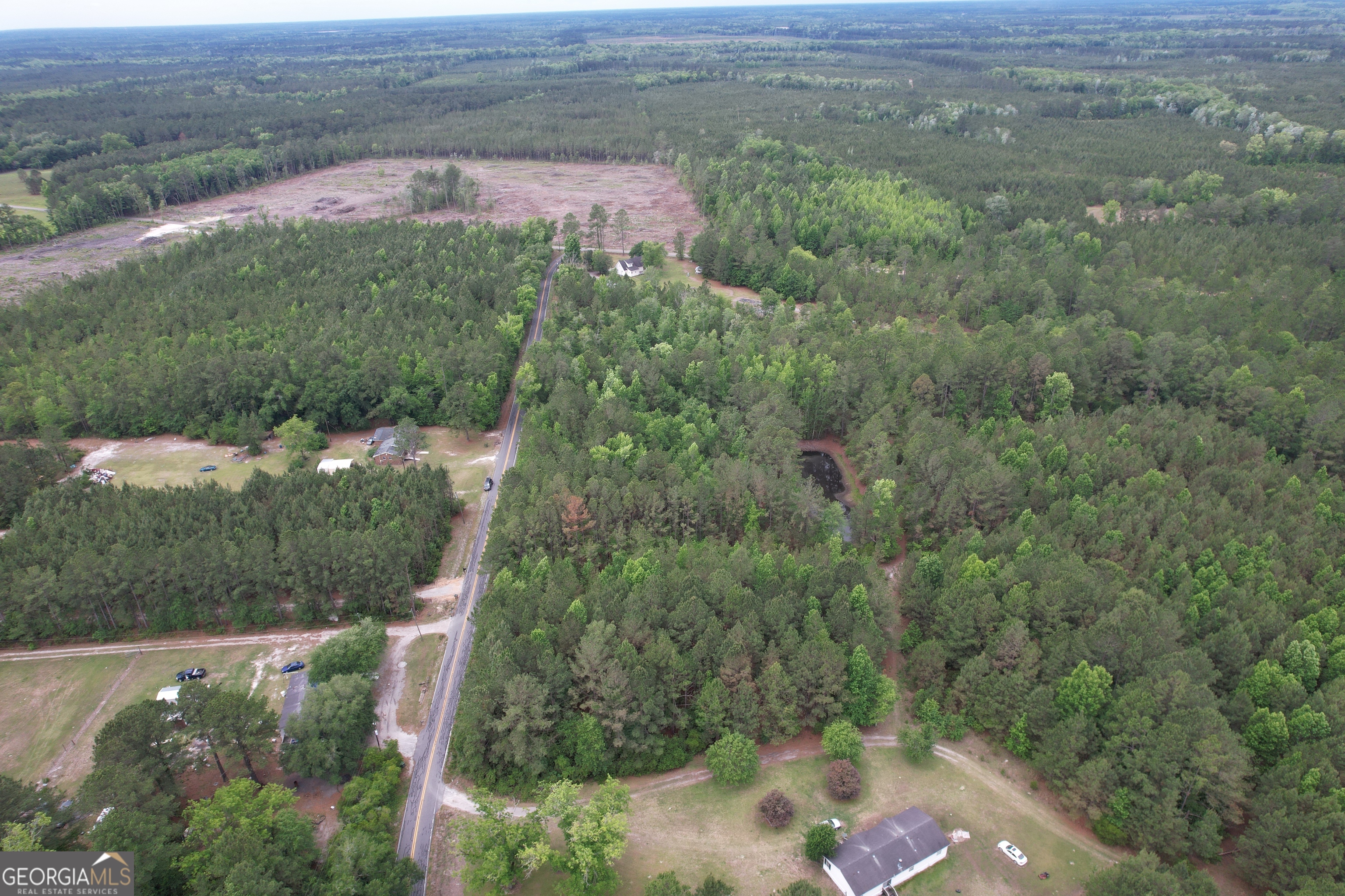 1.5-acres Mt Pleasant Road Clyo, GA 31303 - Photo 18 of 19