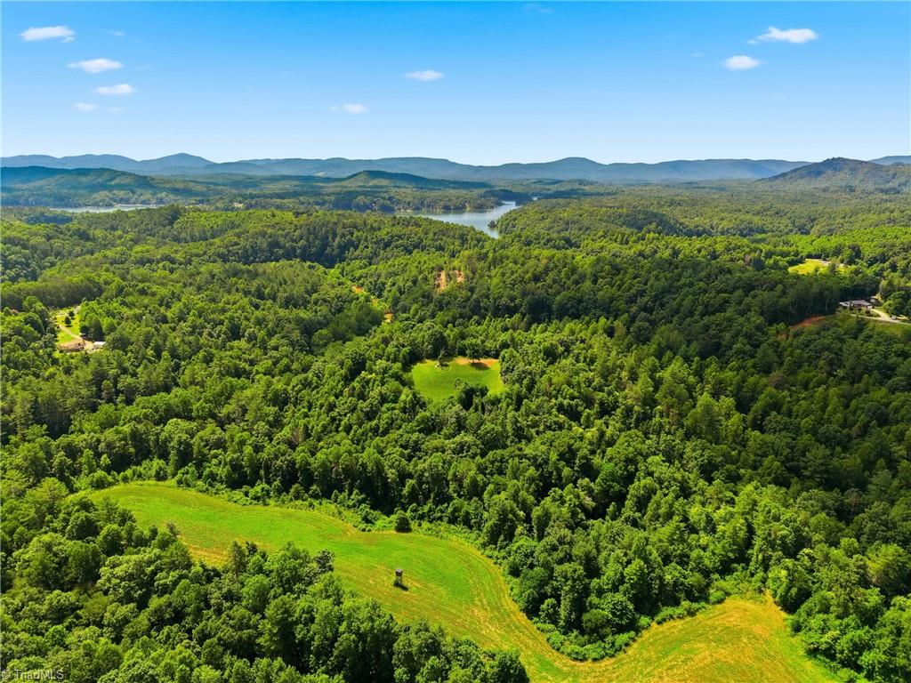 Tbd Harris Road Wilkesboro, NC 28697 - Photo 20 of 25