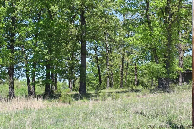 $24,500 | Tbd Apache Drive, Gravois Mills, MO 65037