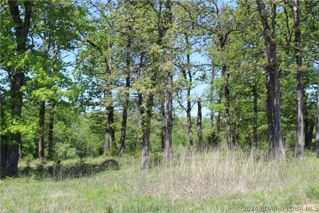 $24,500 | Tbd Apache Drive, Gravois Mills, MO 65037