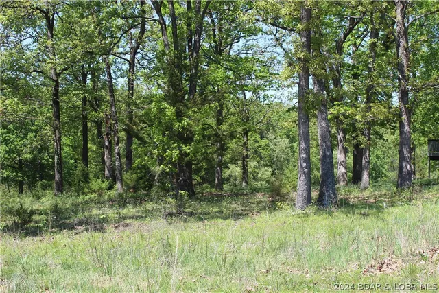 $24,500 | Tbd Apache Drive, Gravois Mills, MO 65037