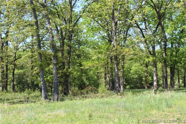 $24,500 | Tbd Apache Drive, Gravois Mills, MO 65037