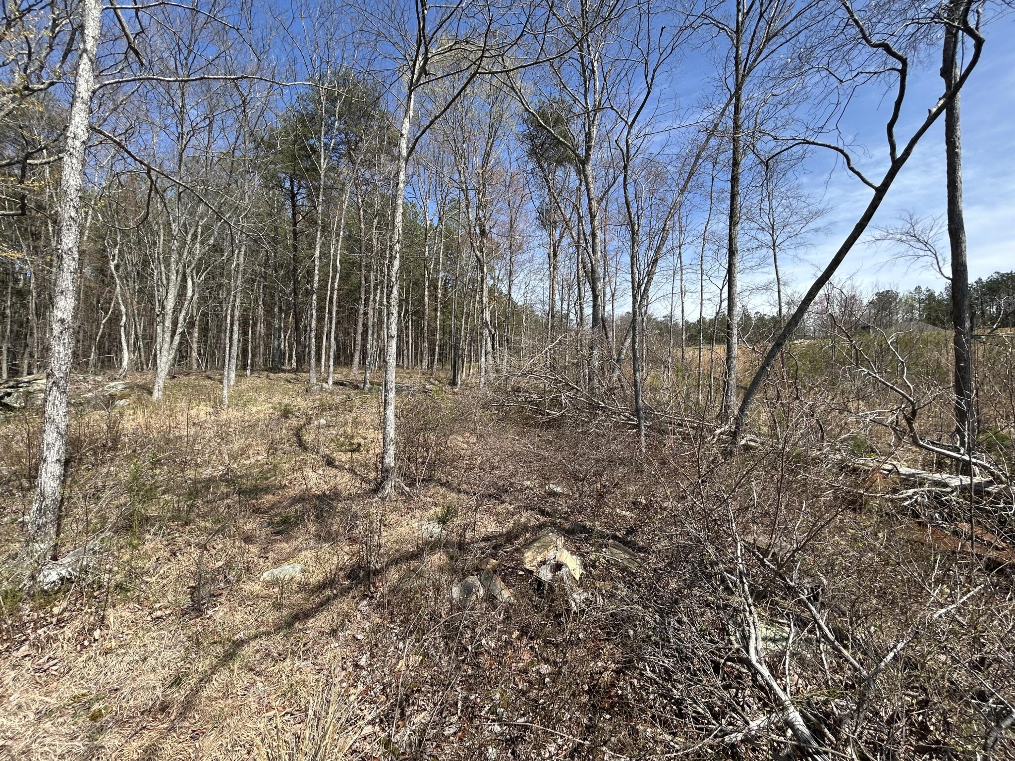 4093 Raulston Fls Road Jasper, TN 37347 - Photo 6 of 37 a backyard of a house with lots of green space