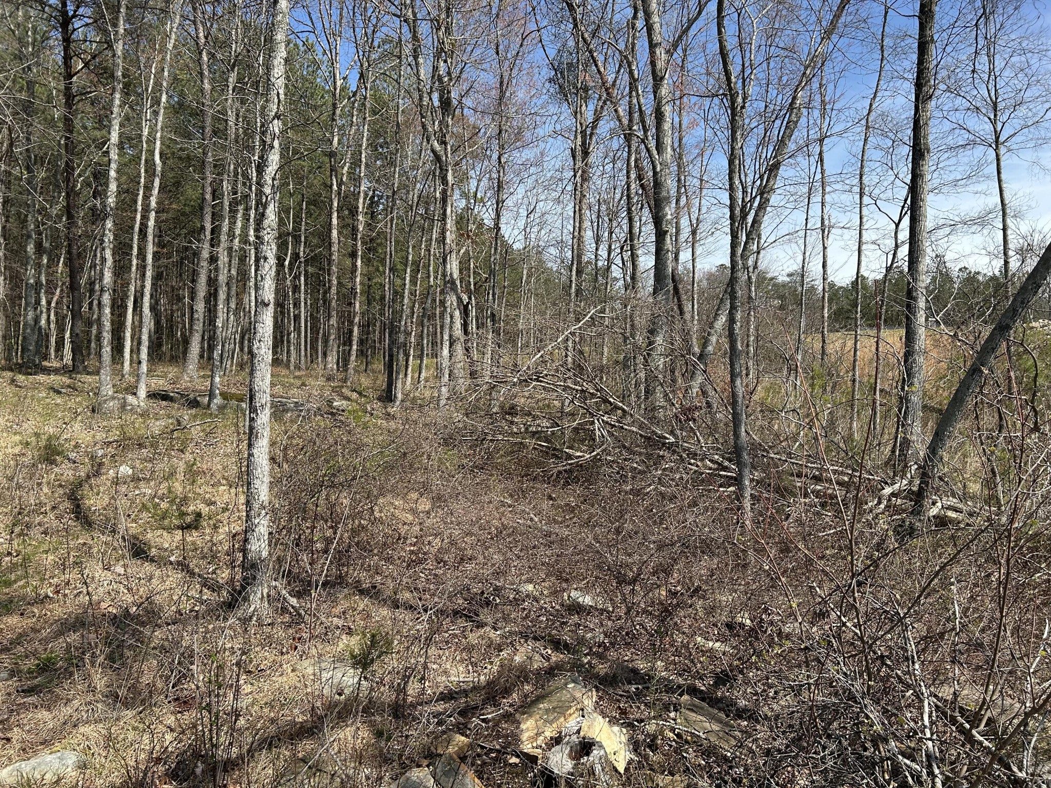 4093 Raulston Fls Road Jasper, TN 37347 - Photo 7 of 37 a view of a backyard