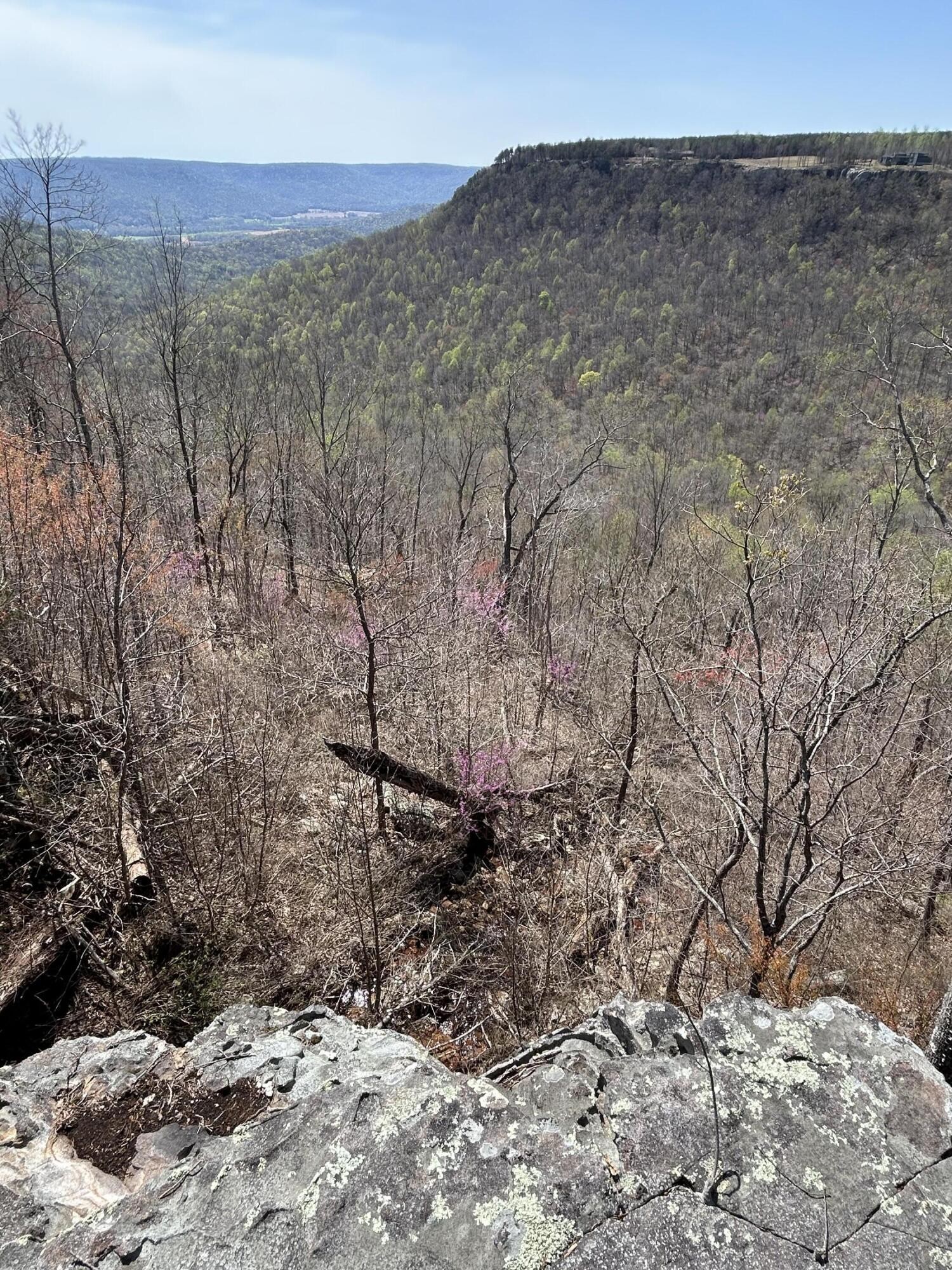 4093 Raulston Fls Road Jasper, TN 37347 - Photo 9 of 37