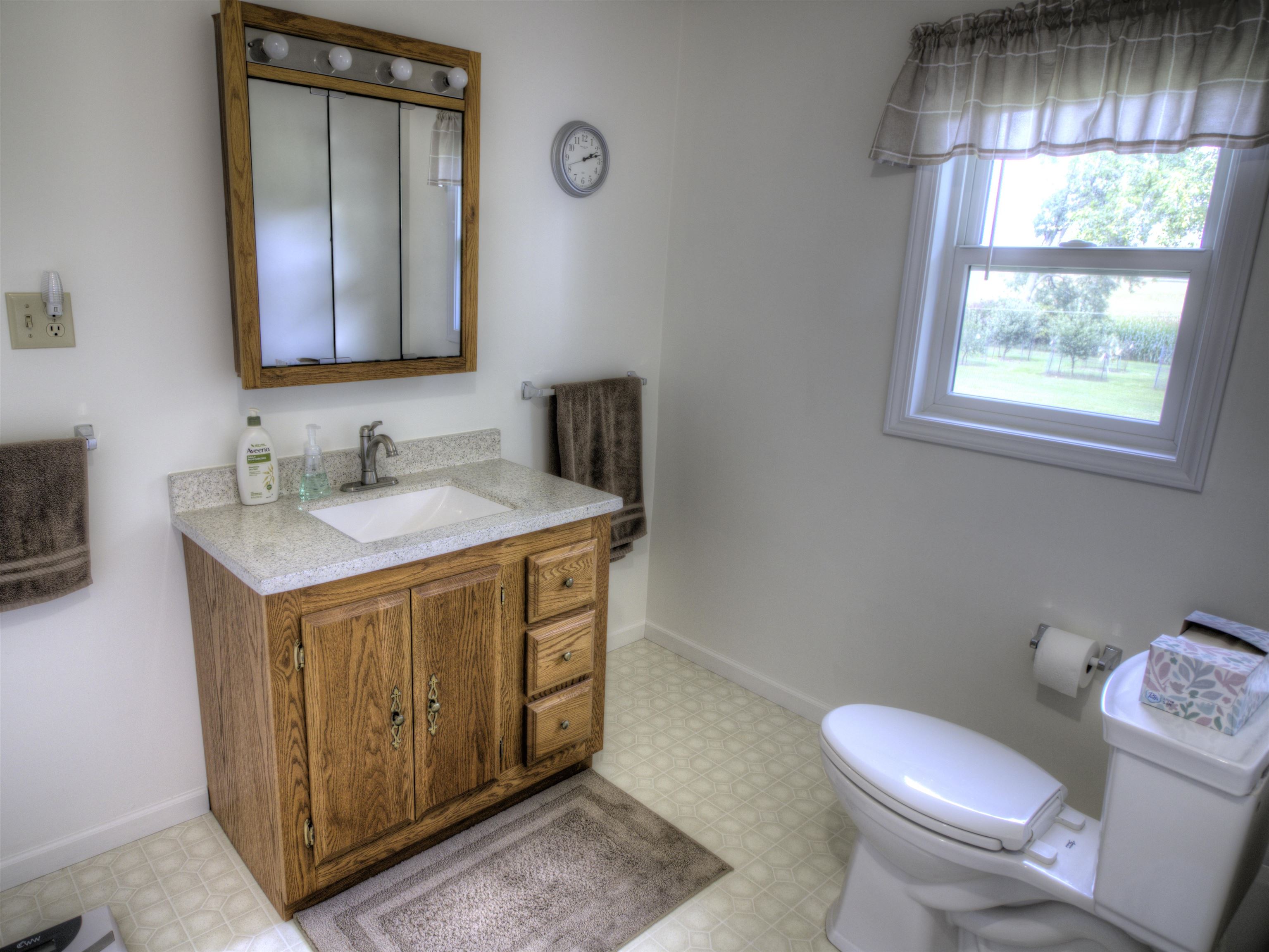 318 Mt Hope Road South Crystal, MI 48818 - Photo 22 of 33 1915902-21.JPG