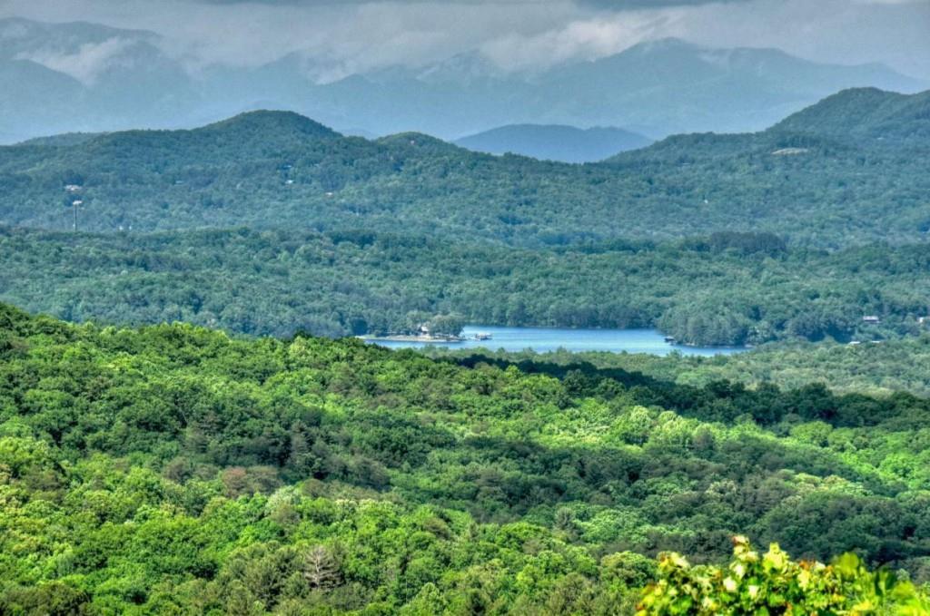 181 Ridge Circle Blue Ridge, GA 30513 - Photo 25 of 59 a view of a lush green hillside and a building
