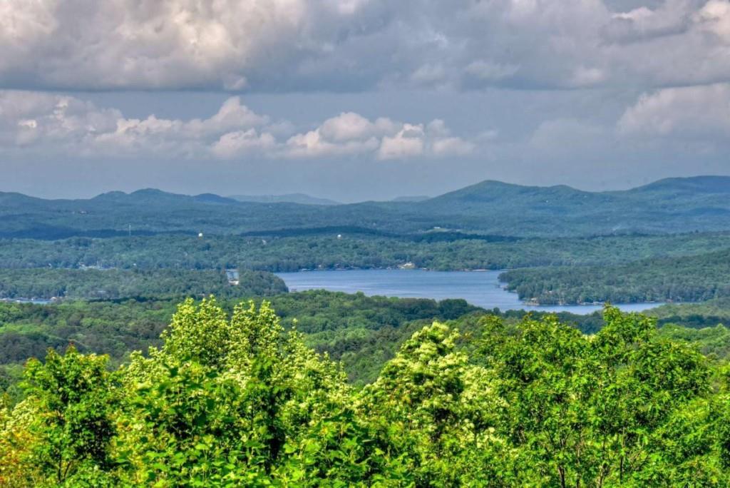 181 Ridge Circle Blue Ridge, GA 30513 - Photo 3 of 59 a view of a lake with a mountain in the background