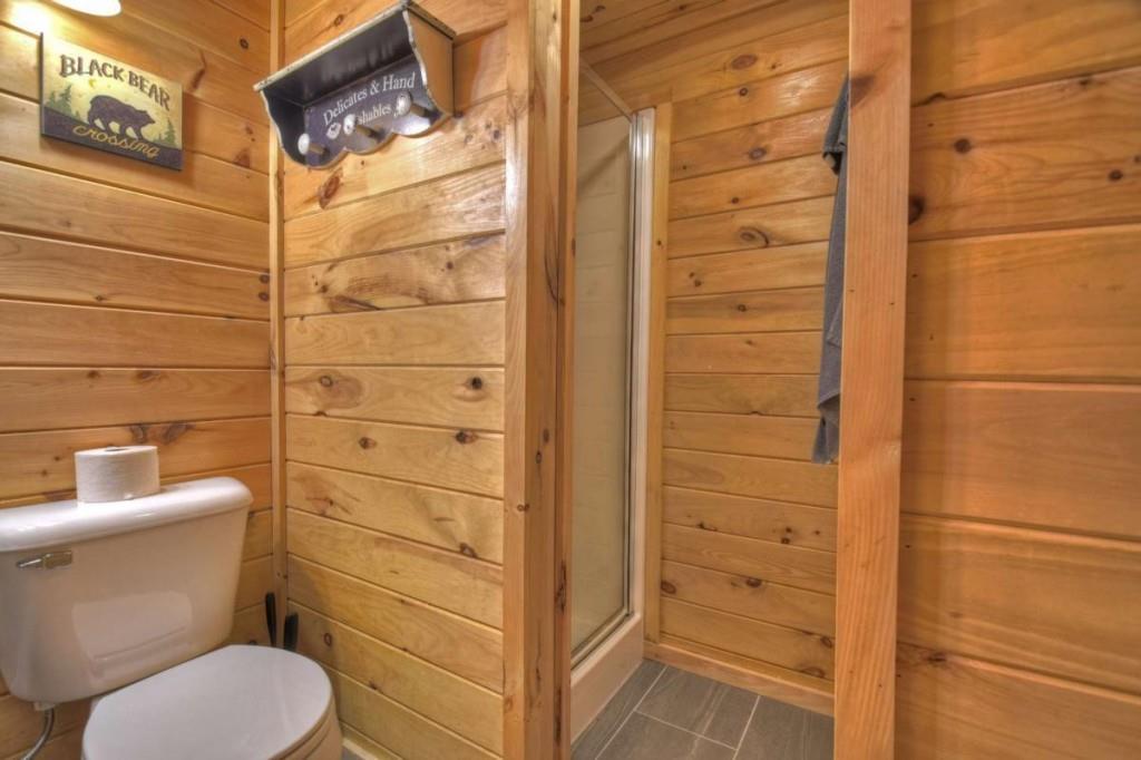 181 Ridge Circle Blue Ridge, GA 30513 - Photo 47 of 59 a bathroom with a toilet and a shower