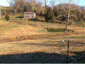 321 Reynolds Road Elizabethton, TN 37643 - Photo 5 of 6 Photo 5