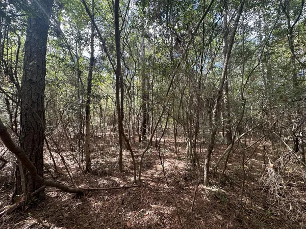 a view of outdoor space with trees