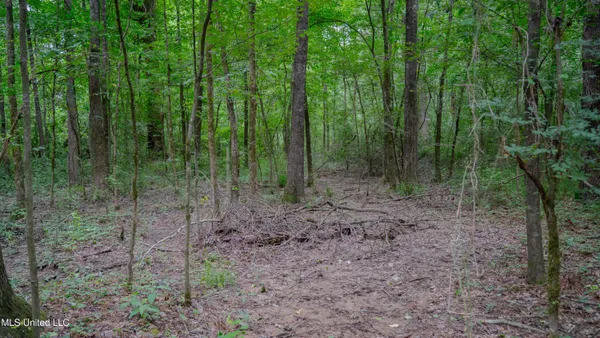$198,000 | Oooo Big Creek Road, Byram, MS 39212