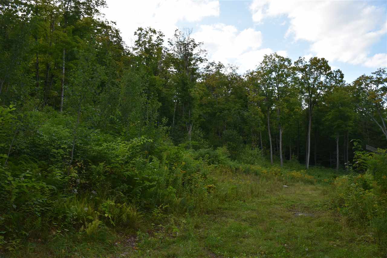 392 Warren Mountain Road Roxbury, VT 05669 - Photo 22 of 33