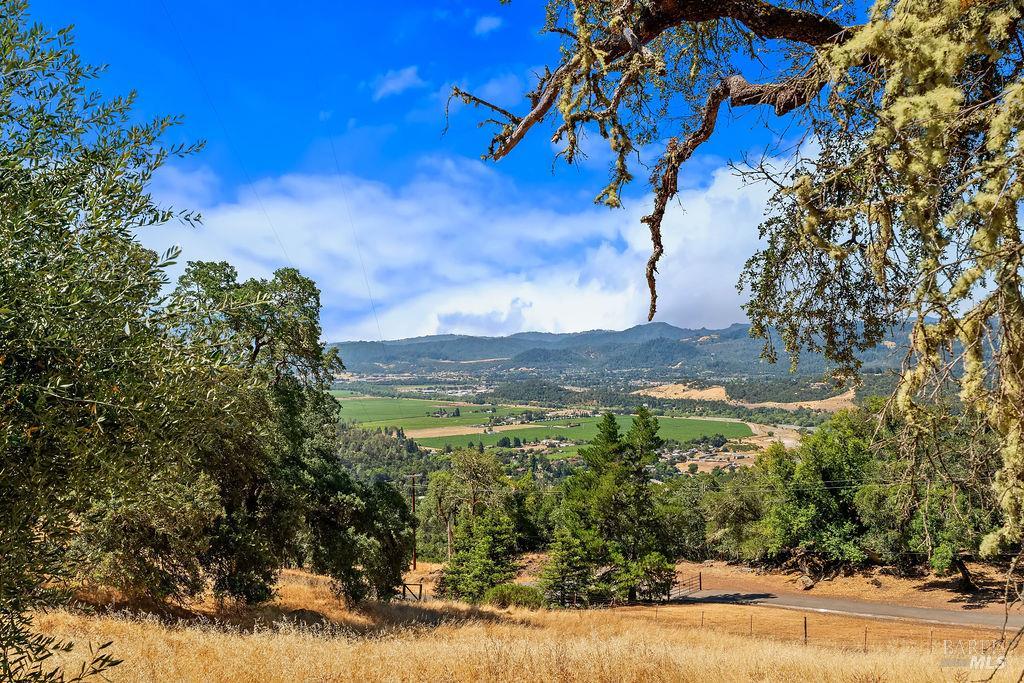 31000 Pine Mountain Road Cloverdale, CA 95425 - Photo 63 of 82 Private. Peaceful. Elevated.