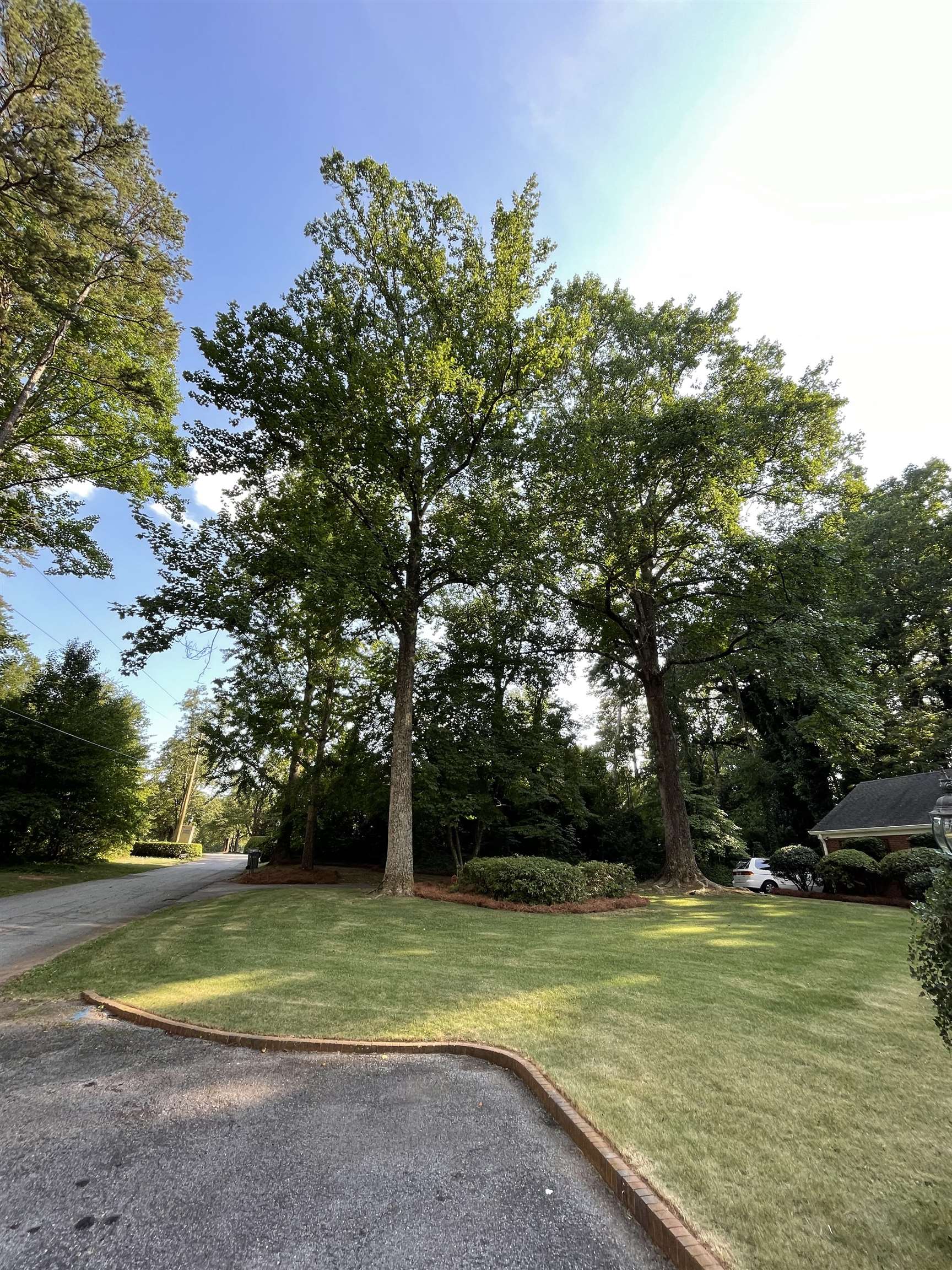 704 Brookfield Road Spartanburg, SC 29302 - Photo 35 of 36 Gallery Image 35