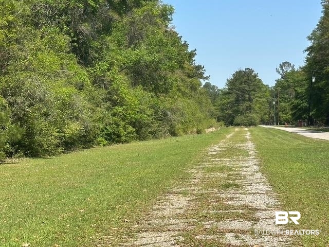 0 I-65 Service Road Satsuma, AL 36572 - Photo 16 of 27 View of street with a view of trees