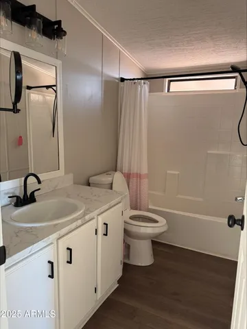 a bathroom with a sink a toilet a mirror and shower