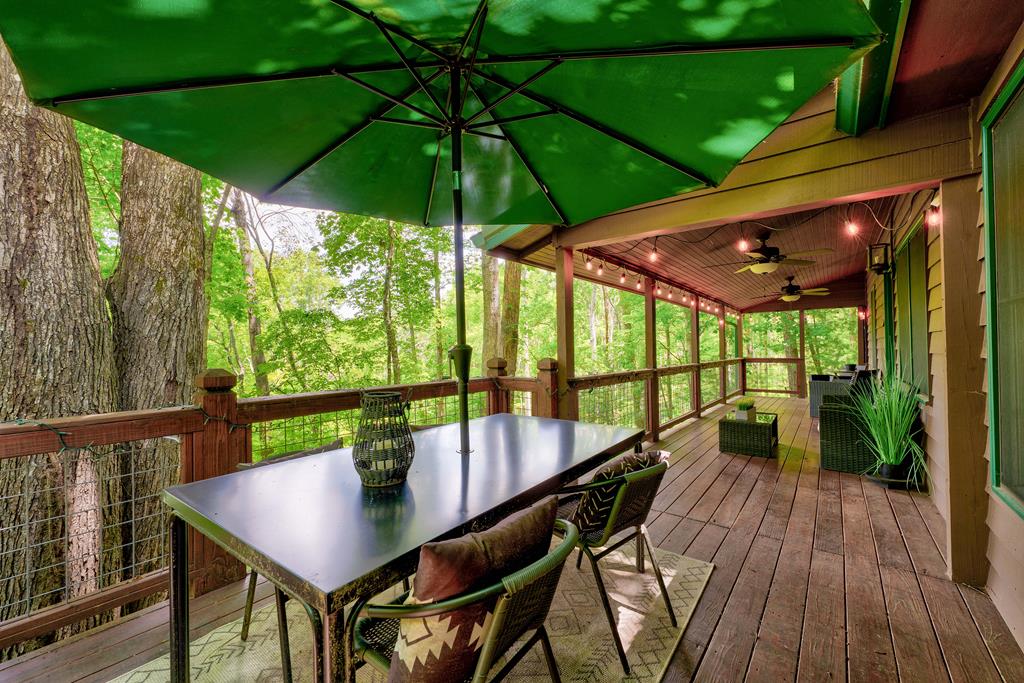 307 Pigeon Creek Road Blue Ridge, GA 30513 - Photo 5 of 56 Gallery Image 5