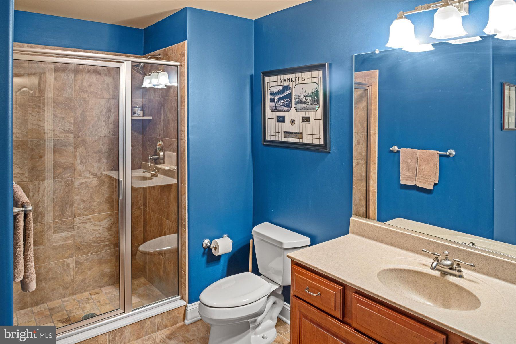 205 Wecks Pond Road New Hope, PA 18938 - Photo 28 of 44 Lower level full bath