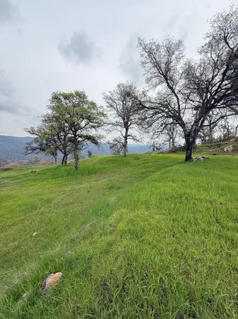 $260,000 | 141 Gold Pan Court, Bangor, CA 95914