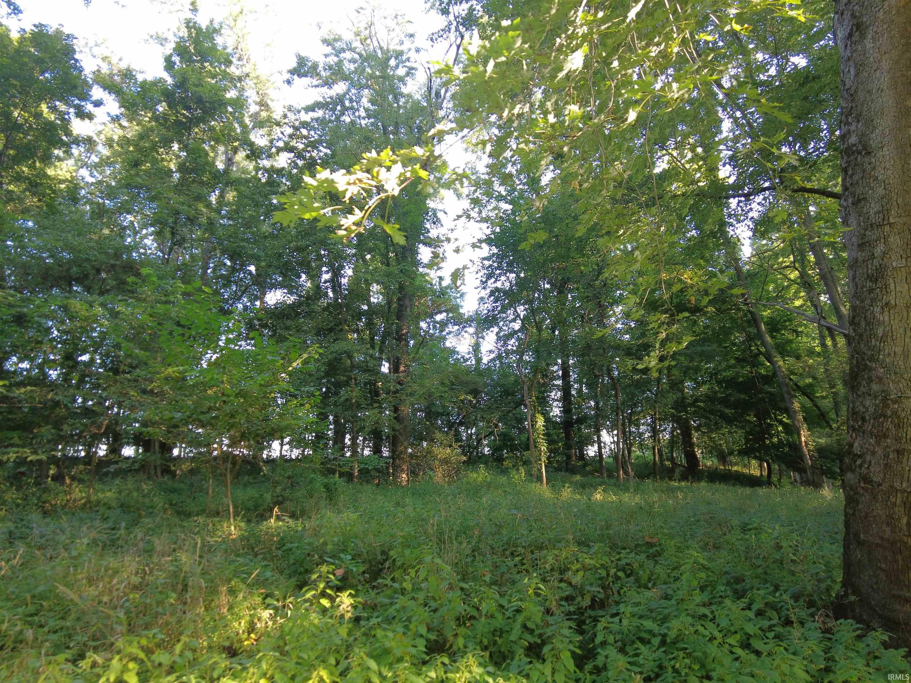 845 East 75 North Winamac, IN 46996 - Photo 6 of 16