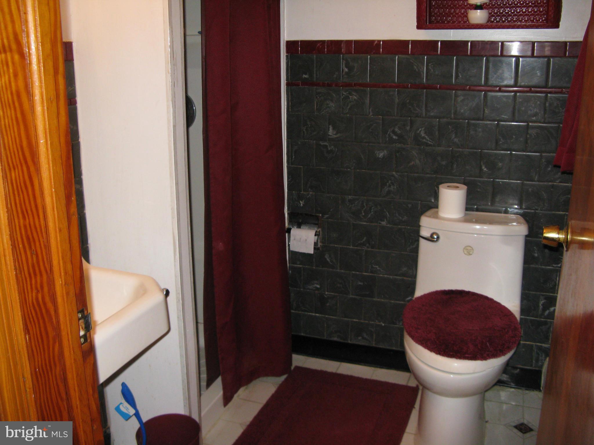 10463 Elk Run Road Catlett, VA 20119 - Photo 14 of 21 Bath (Master)