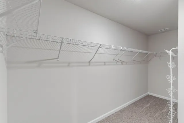 a view of a room with walk in closet