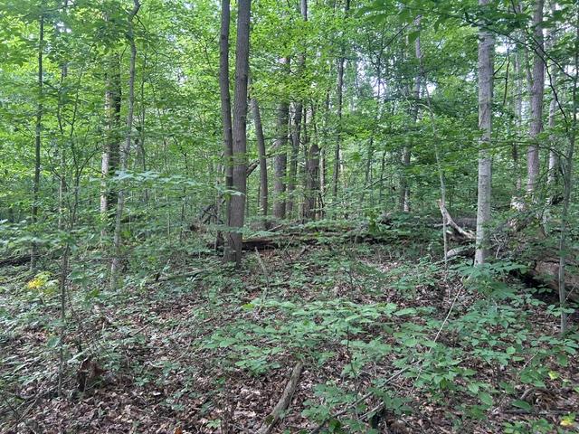 24229 Sanes Creek Road Laurel, IN 47024 - Photo 24 of 54