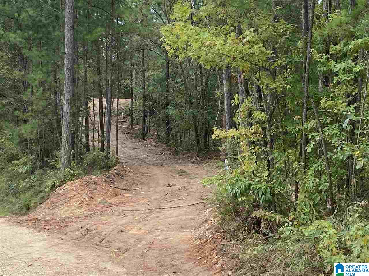 0 County Road 199, Unit 19 / ACRES Clanton, AL 35046 - Photo 11 of 17