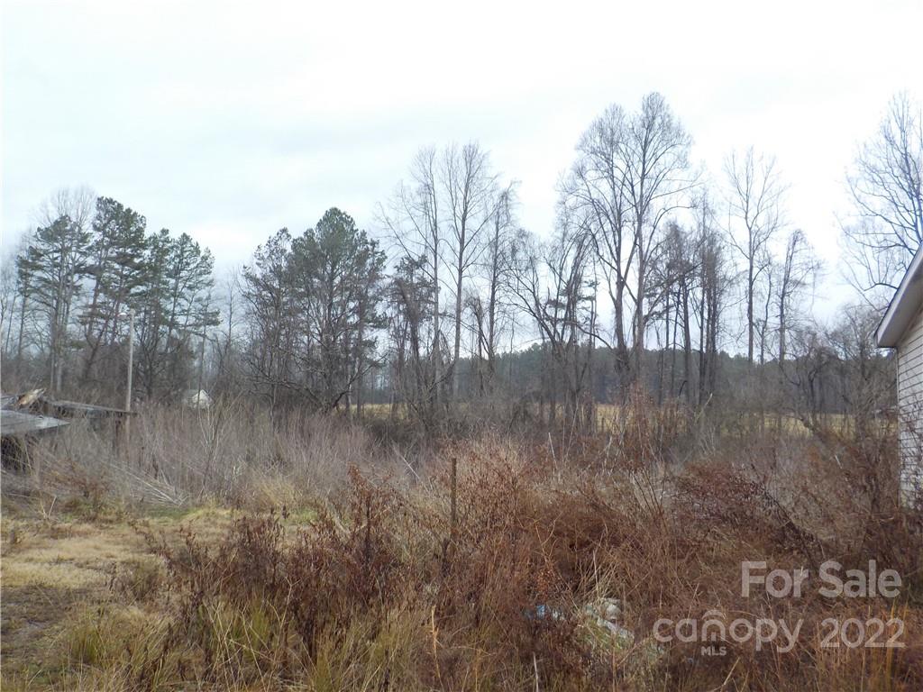 221 Griswold Branch Road Rutherfordton, NC 28139 - Photo 3 of 3