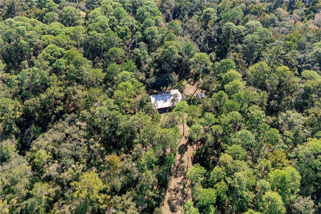 6550 Southwest 100 Court Cedar Key, FL 32625 - Photo 41 of 41