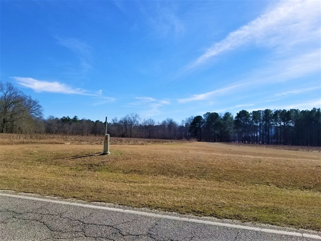 1989 Sam Nexsen Road Summerton, SC 29148 - Photo 2 of 4 Gallery Image 2