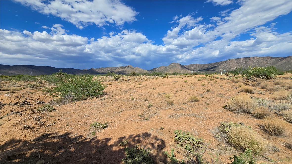 353-36-158 North Tyree Road Hackberry, AZ 86411 - Photo 14 of 19