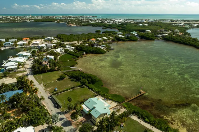 an aerial view of residential houses with outdoor space and lake view