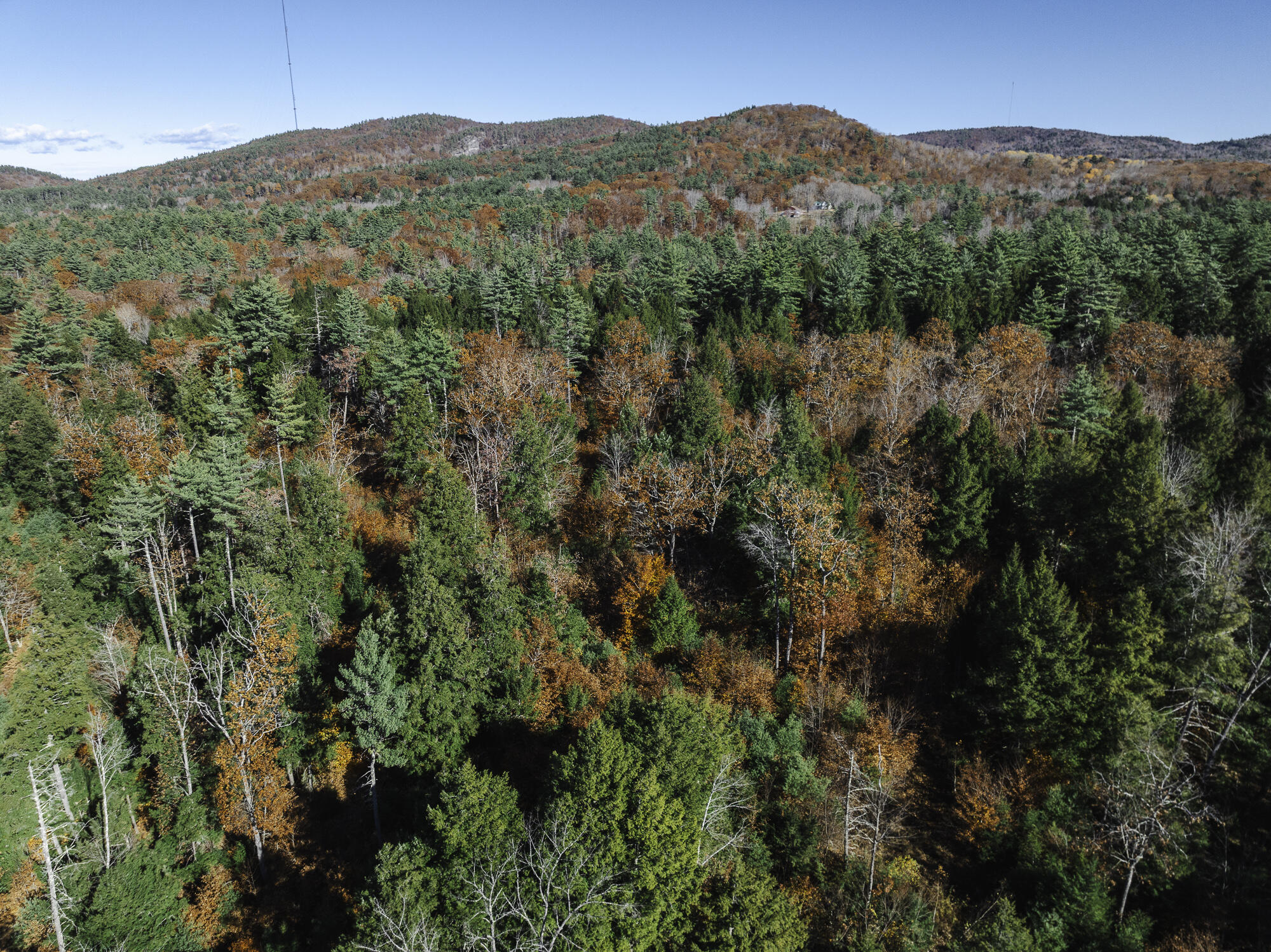14 Senator Black Road West Baldwin, ME 04091 - Photo 6 of 10 DLW_20241027_0818