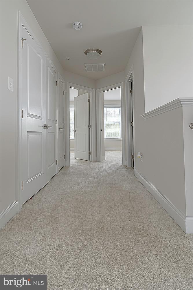 2520 Cherry Tree Road Hanover, MD 21076 - Photo 38 of 46 Hallway