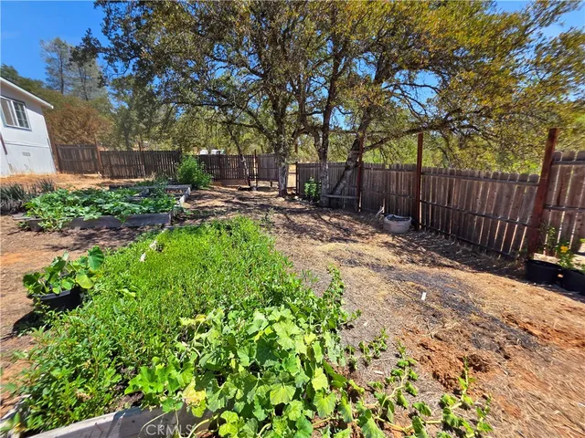 a view of backyard with table and chairs and a large tree
