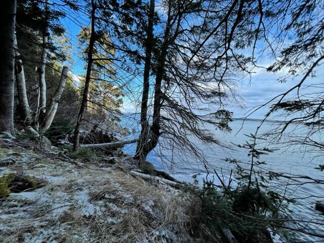 1065 Straight Bay Road Lubec, ME 04652 - Photo 107 of 121 IMG_4495