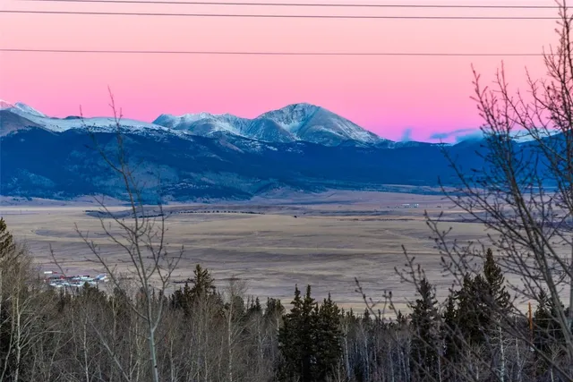 a view of a yard with wooden fence