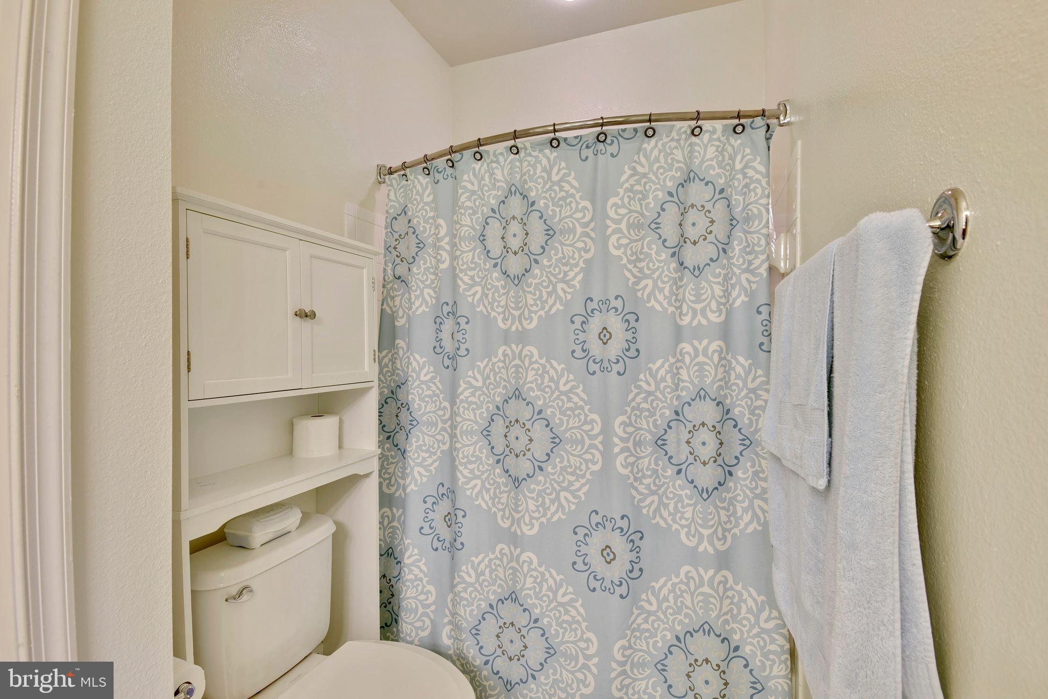 a bathroom with a shower curtain and a toilet sink
