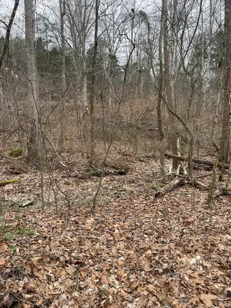 $119,900 | Hillham Rd Road South, French Lick, IN 47432