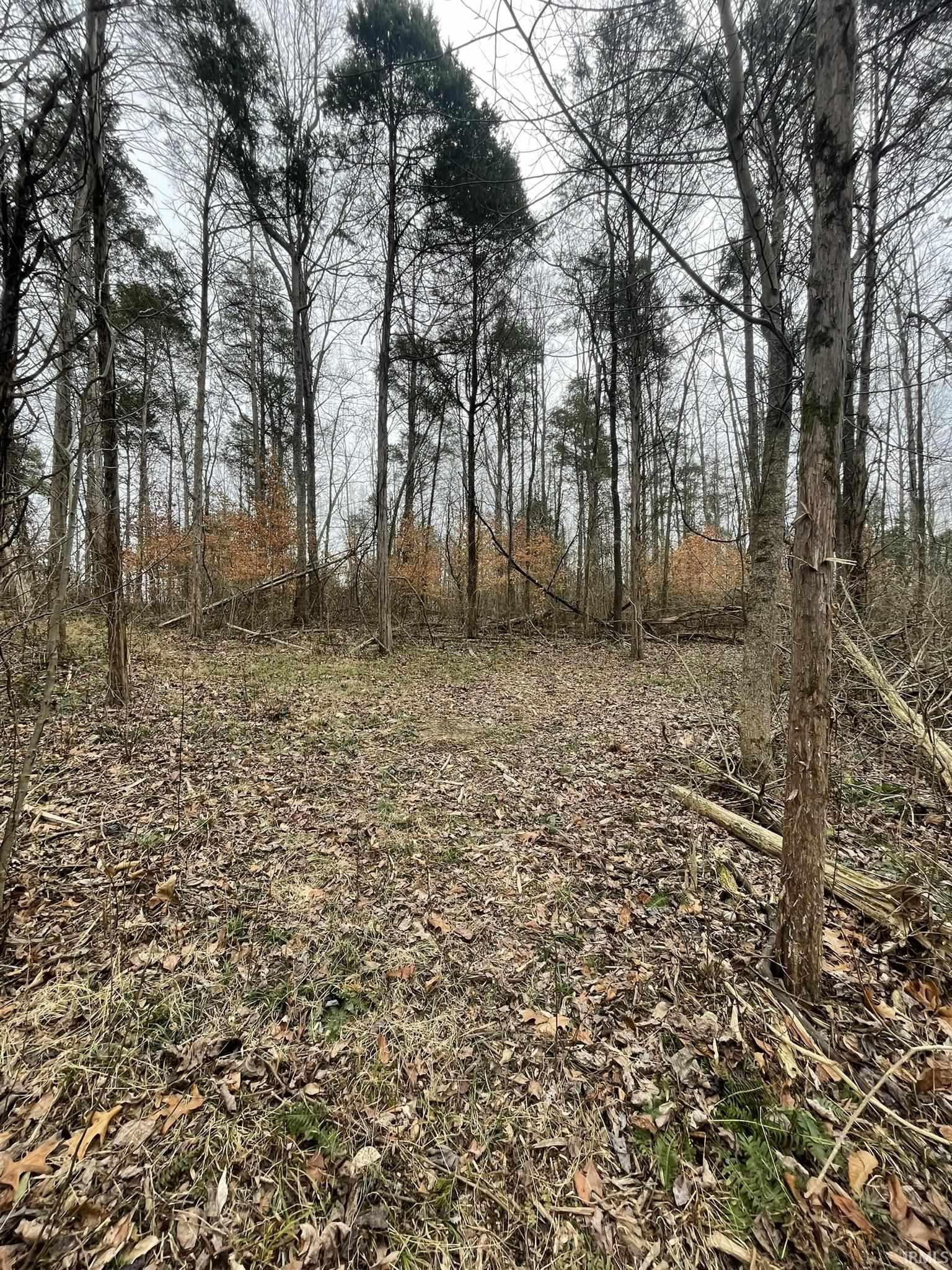 Hillham Rd Road South French Lick, IN 47432 - Photo 14 of 28